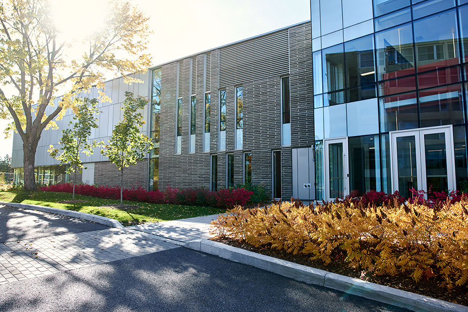 CMorissette Projet Collège MontSaintLouis